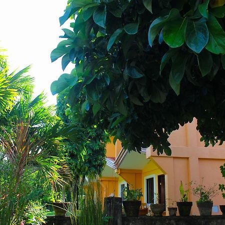 Honey Villas Dumaguete Dumaguete City Eksteriør bilde