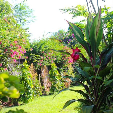 Honey Villas Dumaguete Dumaguete City Eksteriør bilde
