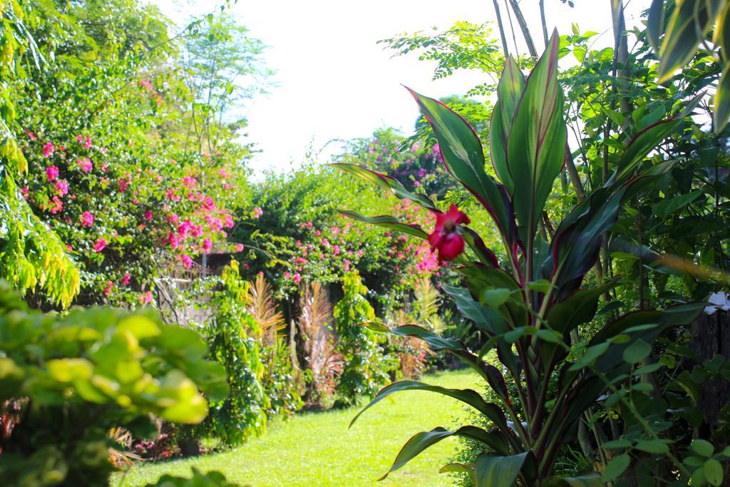 Honey Villas Dumaguete Dumaguete City Eksteriør bilde